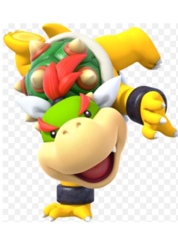 Bowser Jr.